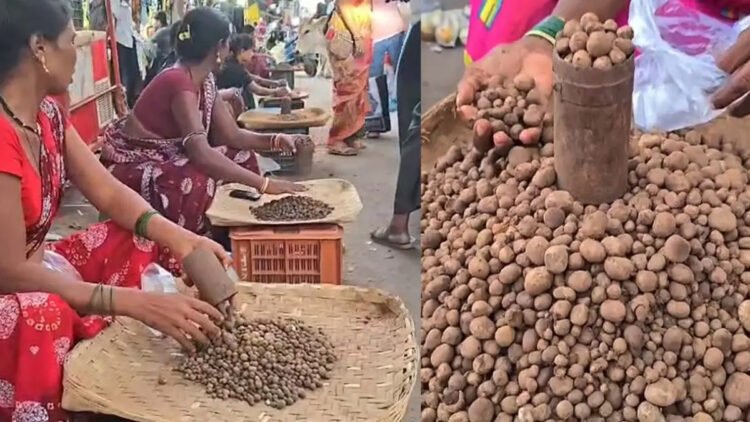 बस्तर के जंगलों में उगा सफेद ‘बोरा’ 3000 प्रति किलो : स्वाद के दीवाने सालभर करते हैं इंतजार