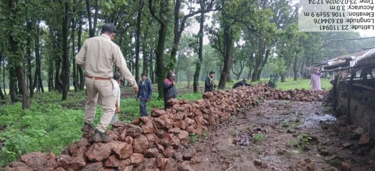 वन विभाग की बड़ी कार्रवाई: अवैध अतिक्रमण हटाकर वनभूमि कराई मुक्त, तत्काल शुरू किया गया पौधरोपण