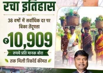 गीदम समिति ने रचा इतिहास, 38 वर्षों में सबसे अधिक कीमत पर बिका तेंदूपत्ता