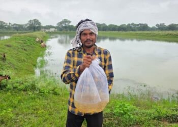 वीबी-जी राम जी आजीविका डबरी मिशन से बरातु सिंह को मिला आय का नया आधार
