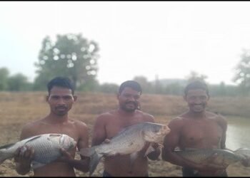 तालाब में पाली मछलियां, मुनाफे से संवारी जिंदगी कृष्णशंकर कुडि़यम बने आत्मनिर्भरता की मिसाल
